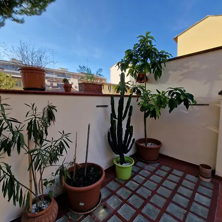 Casaldo's Florens